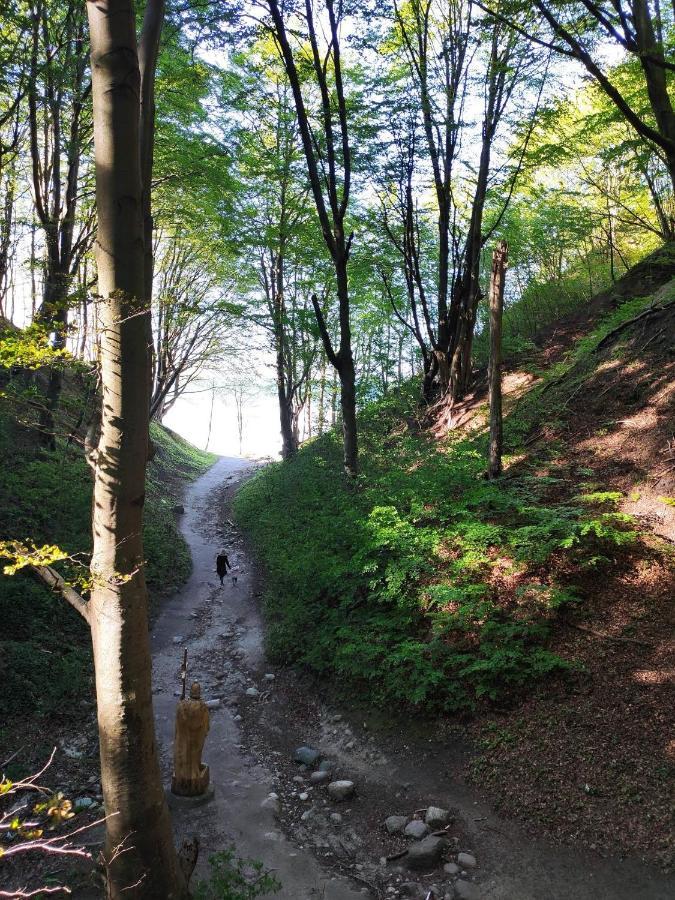 Domki Alefala Jastrzębia Góra Exteriér fotografie